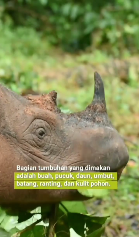 Screenshot 2026-03-05 100010