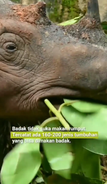 Screenshot 2026-03-05 100039