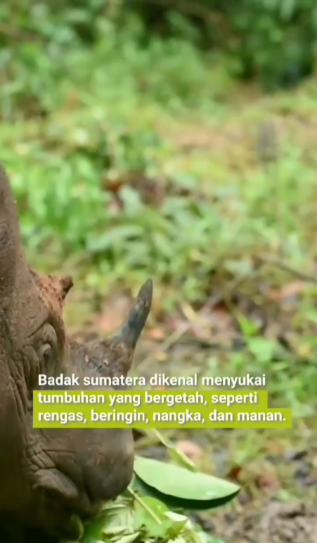 Screenshot 2026-03-05 100100