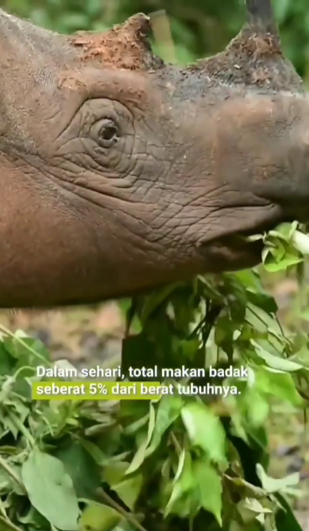 Screenshot 2026-03-05 100115