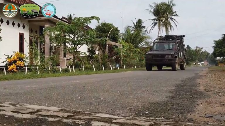 Dedikasi Tanpa Batas Peran Vital Polhut dan Ranger dalam Konservasi TNWK