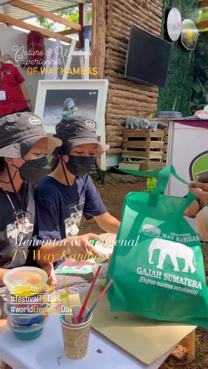 Kisah Erin dan Refleksi Kemanusiaan Pentingnya Menjaga Kelestarian Gajah Sumatera