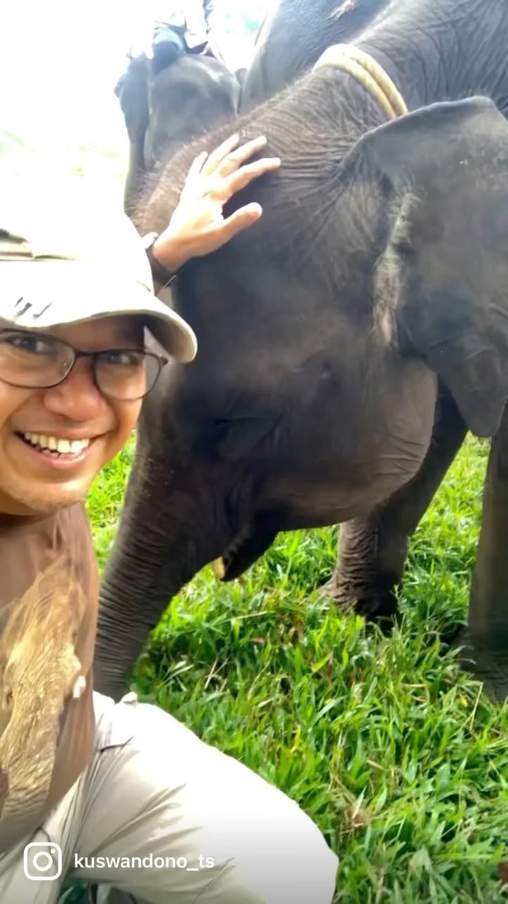Refleksi Hari Gajah Sedunia Belajar dari Ketangguhan Erin dan Upaya Konservasi di Way Kambas