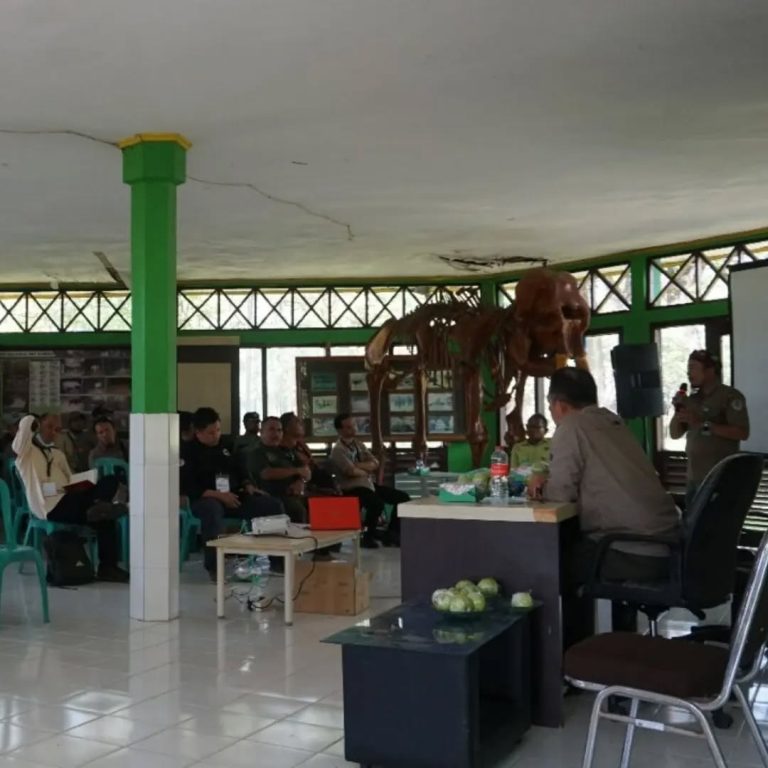 SaveClip.App_298763132_8653427358016306_4586631769334243126_n