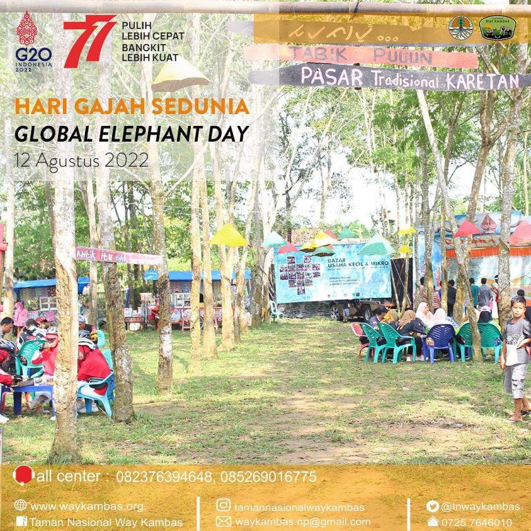 SaveClip.App_299041155_480651490066400_8954882260022675952_n