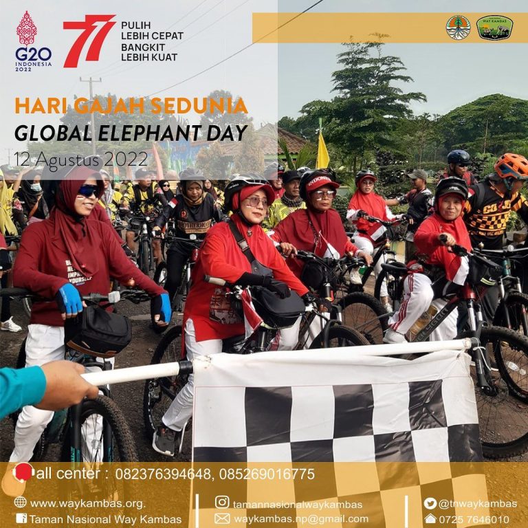 SaveClip.App_299112874_493548072501016_3584260603688748701_n