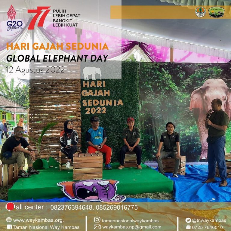 SaveClip.App_299193186_573350477824027_1603098043215928543_n