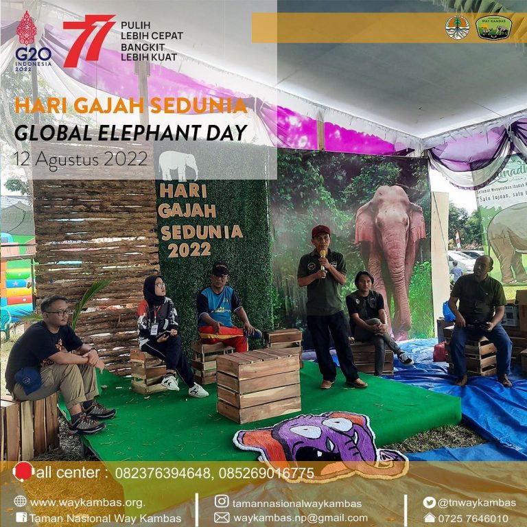 SaveClip.App_299215674_1137999363762850_7082859307719948180_n