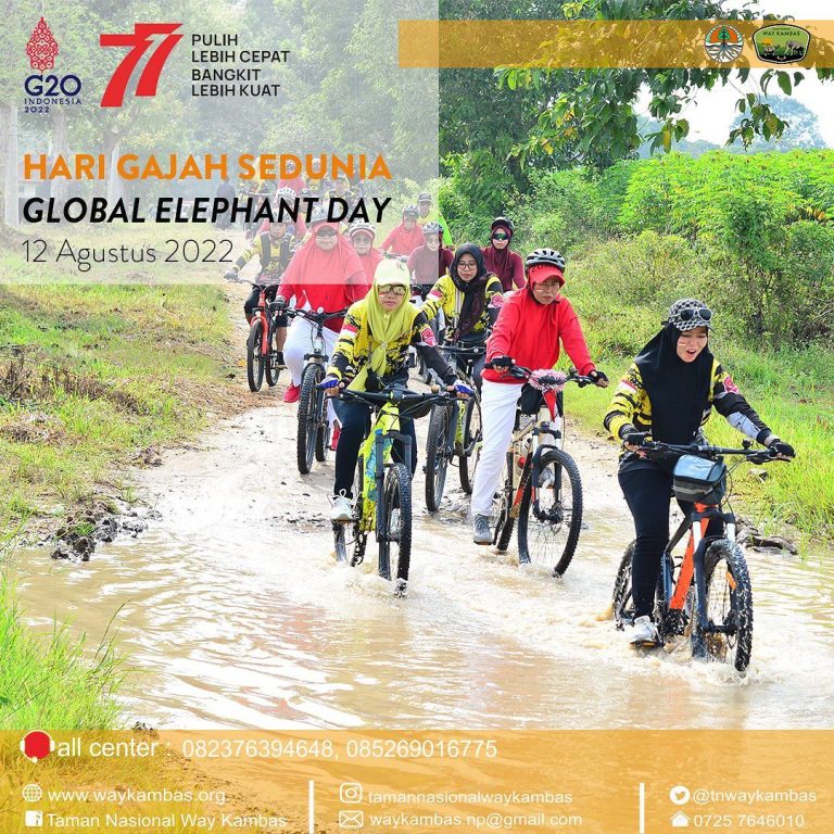 SaveClip.App_299235512_774297290390107_801091591143826344_n