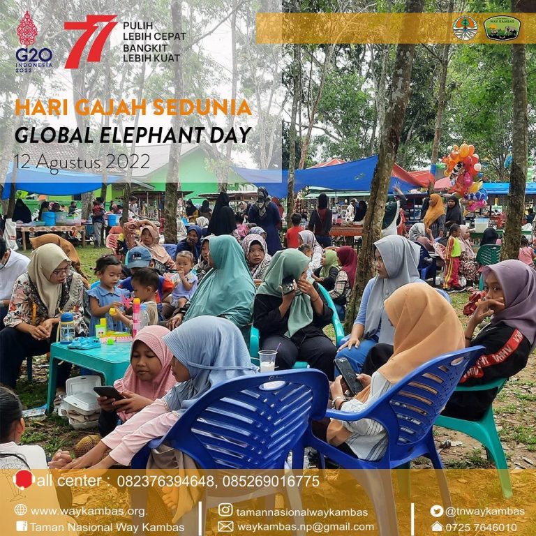 SaveClip.App_299346982_1094918544754542_9123235218170985539_n