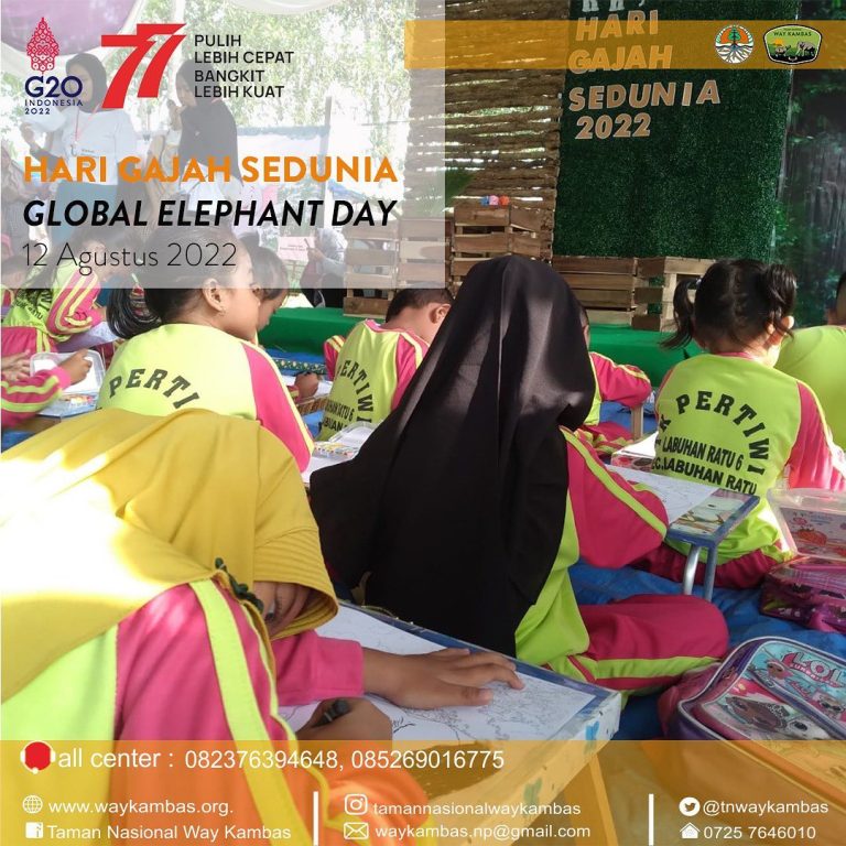 SaveClip.App_299445959_433782042017614_1683313940230689538_n