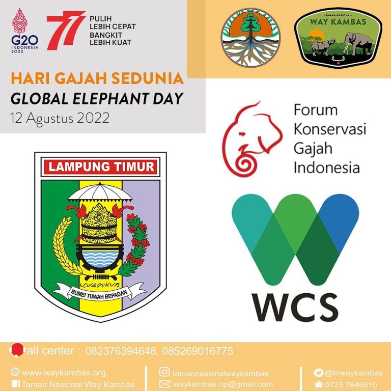 SaveClip.App_299604383_1258404544970977_5289161491037560620_n