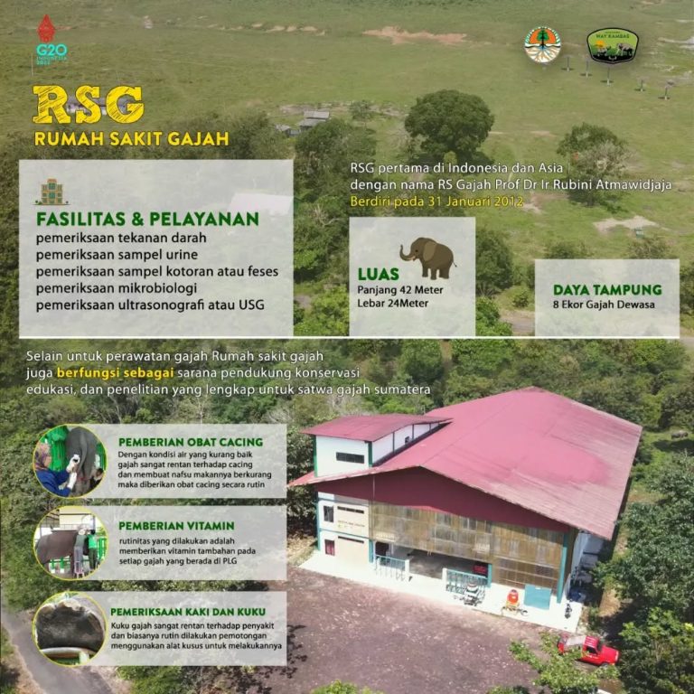 SaveClip.App_306759736_1143058409630730_257139923946994222_n