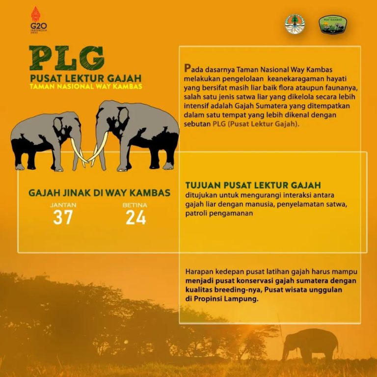 SaveClip.App_307067869_822421318894501_2625348047998072417_n