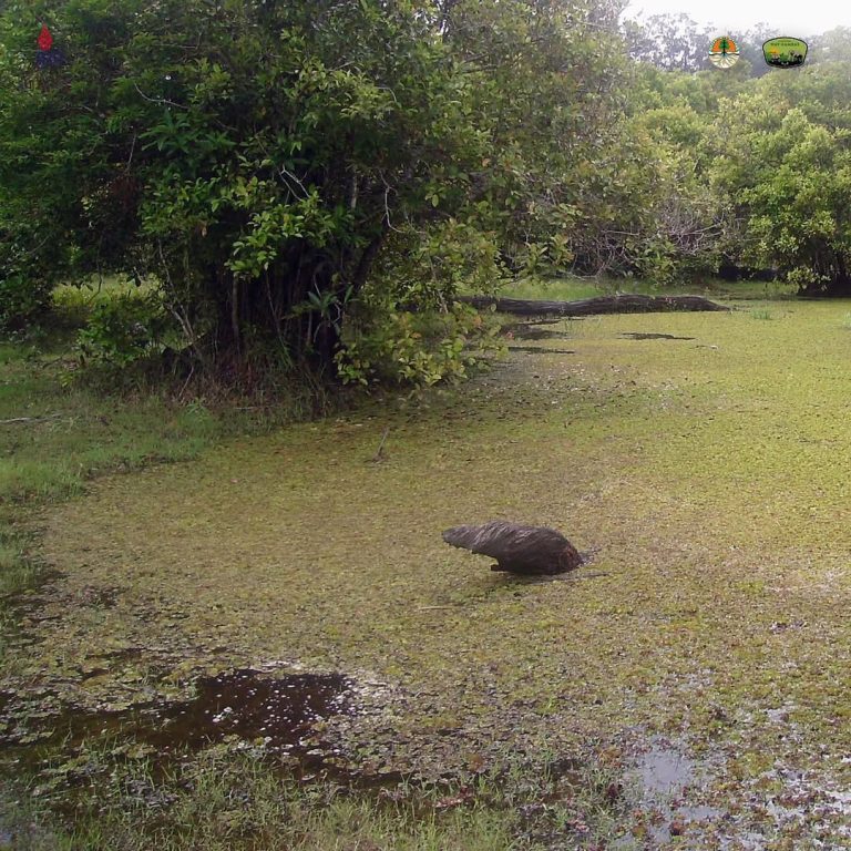 SaveClip.App_307531726_636897051146479_8299898616416302902_n