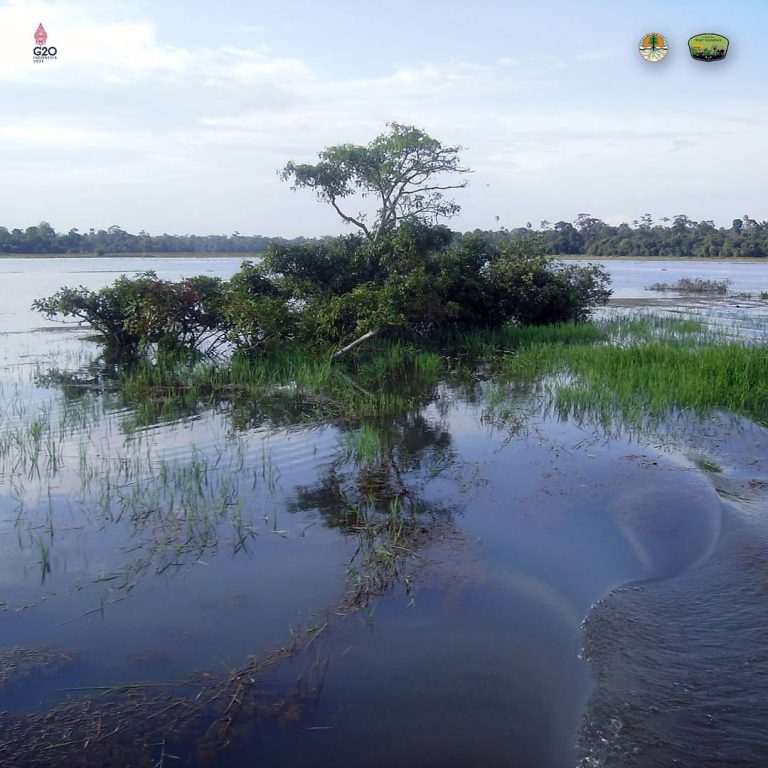 SaveClip.App_307697304_829172411596669_1101857349248976631_n