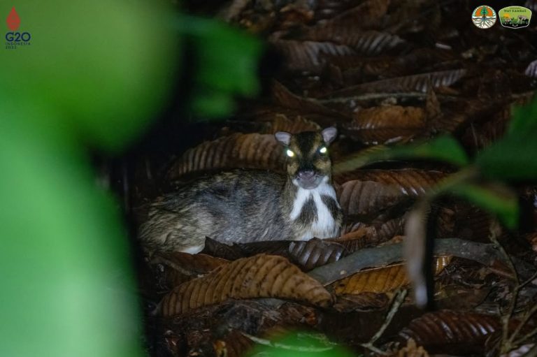 SaveClip.App_307989910_1254298565285022_2481790000399169381_n