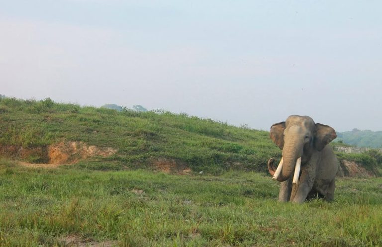 SaveClip.App_308026446_1104971013477097_4823026298626693511_n