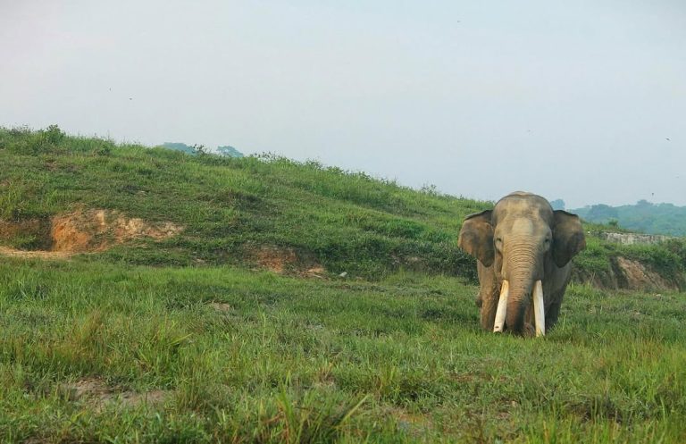 SaveClip.App_308046413_885567402830334_3949656578577400810_n