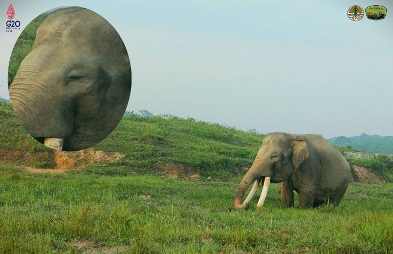 SaveClip.App_308240283_621151676223608_1097534939675512243_n