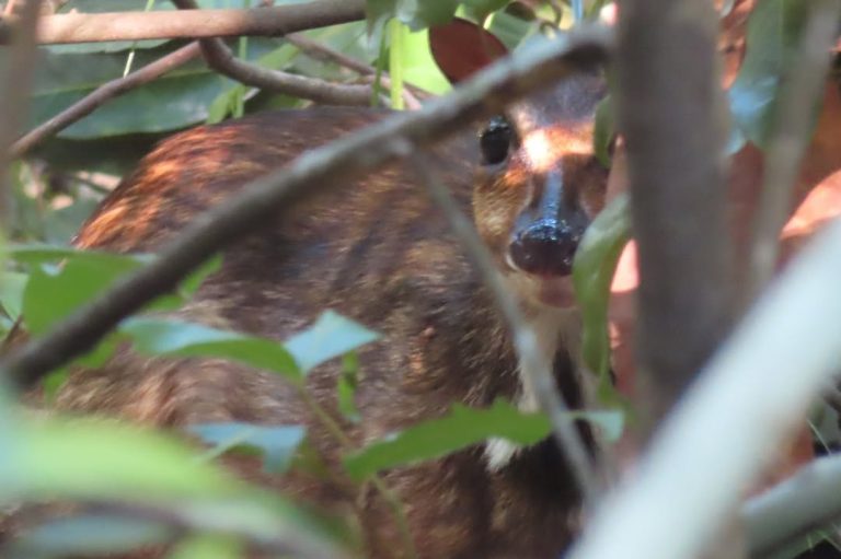 SaveClip.App_308482983_2298813550278948_7324353049831094136_n