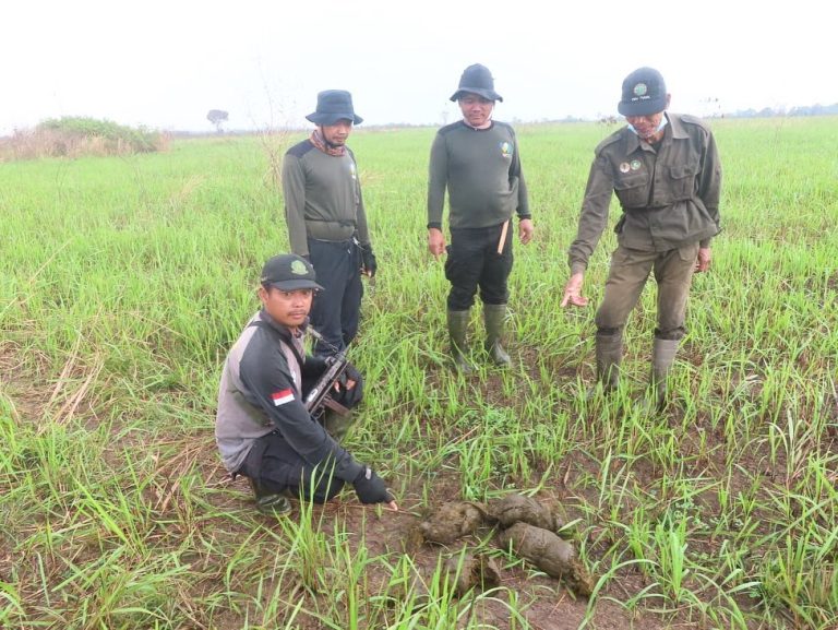 SaveClip.App_309354841_1103042573728708_4744534476954379020_n