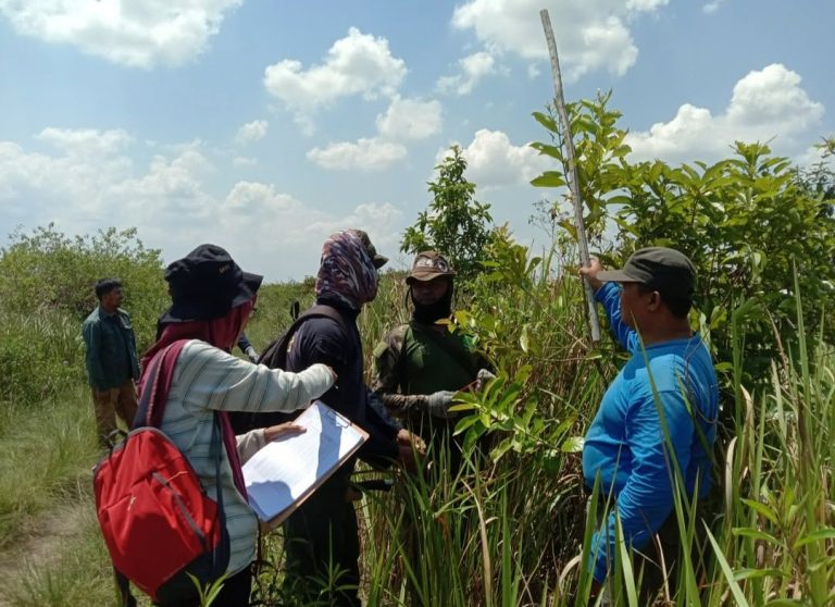 SaveClip.App_310442021_782228889735176_819287209356457904_n