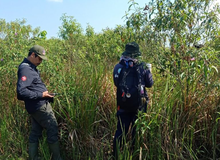 SaveClip.App_310452255_810964726692045_8476022894401342739_n