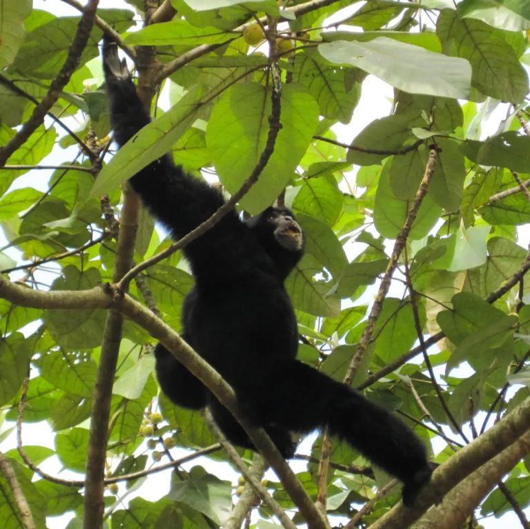 SaveClip.App_311611988_195704272863346_3442985014968393399_n