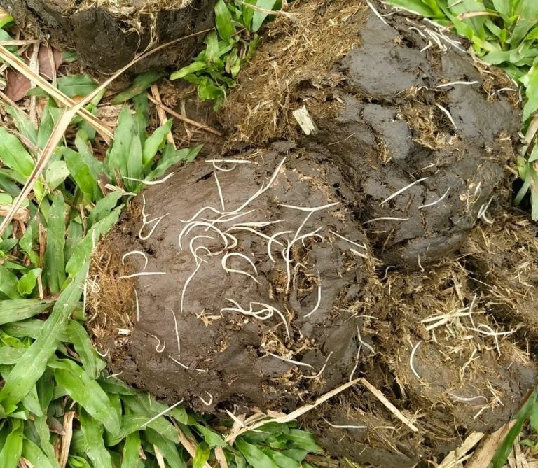 SaveClip.App_312047915_664799368515089_2031319020826616321_n