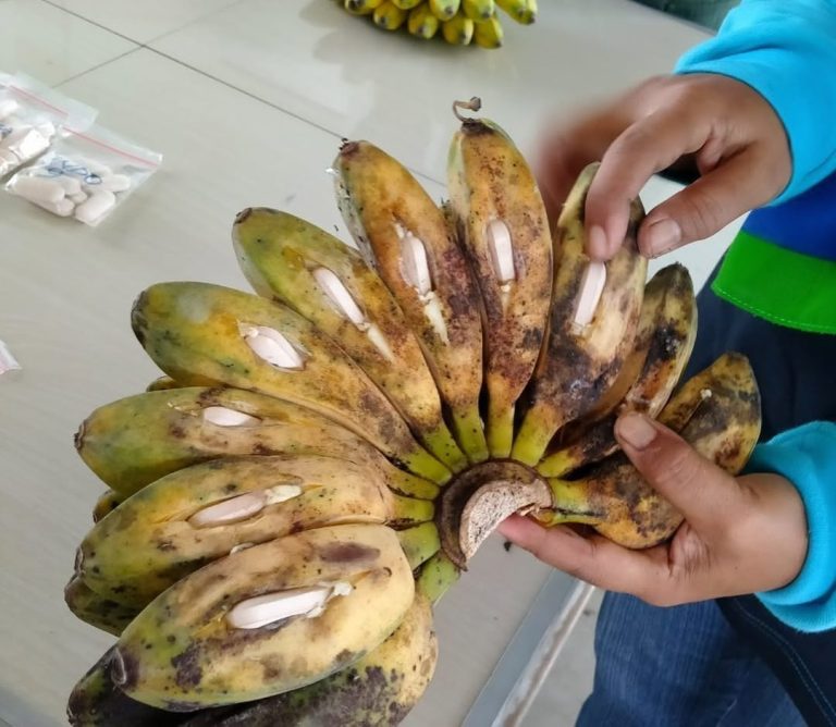 SaveClip.App_312102179_1685353215179440_3231842117015032053_n