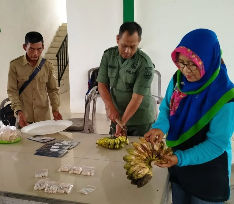 SaveClip.App_312139402_390403579965847_4558877759020480419_n