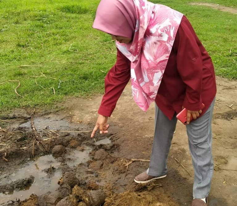 SaveClip.App_312241316_1088158751849763_4729369831720048137_n