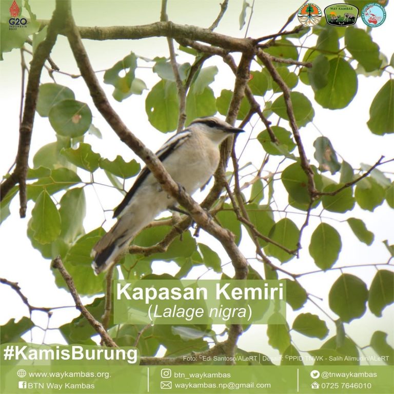 SaveClip.App_312715788_492630092807898_1211322585429720946_n