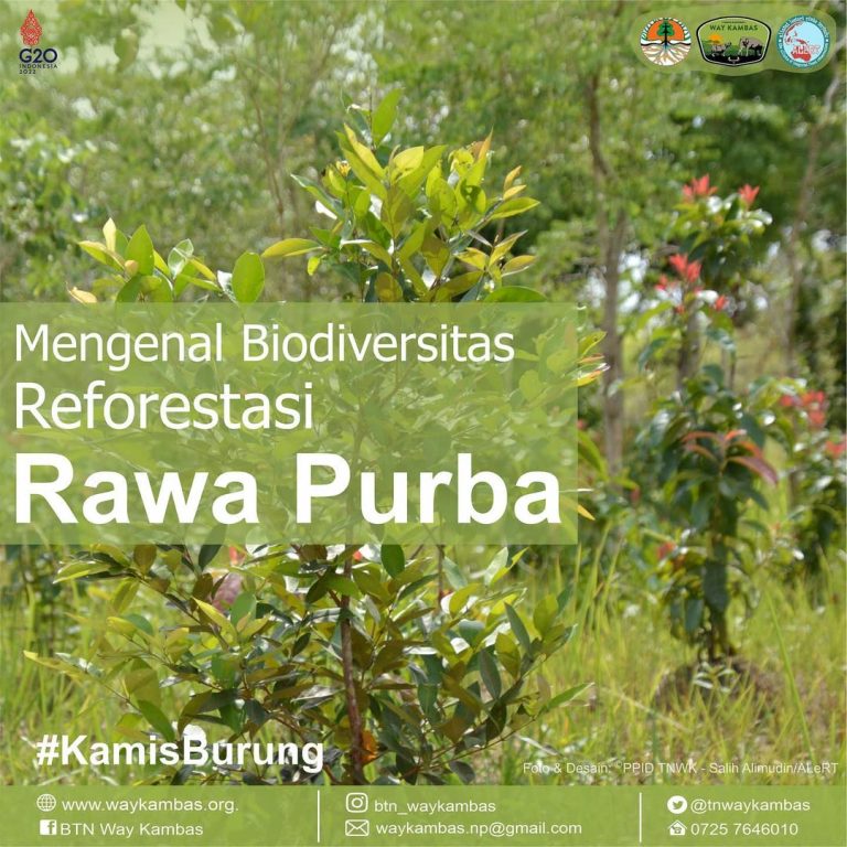 SaveClip.App_312724065_1466690660508095_638411143303755858_n