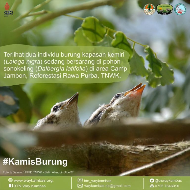 SaveClip.App_312922804_859368008390313_335314931800440406_n