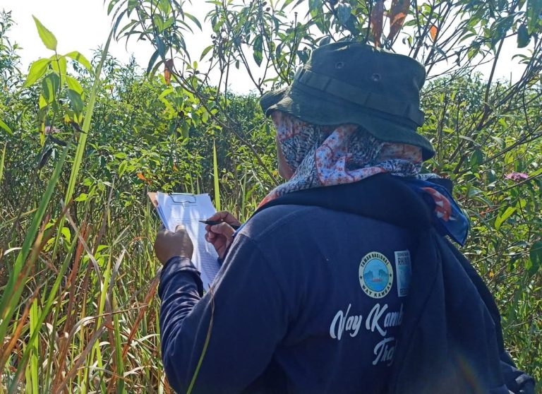 Upaya Pemulihan Ekosistem Monitoring Rutin Rehabilitasi Habitat di Taman Nasional Way Kambas