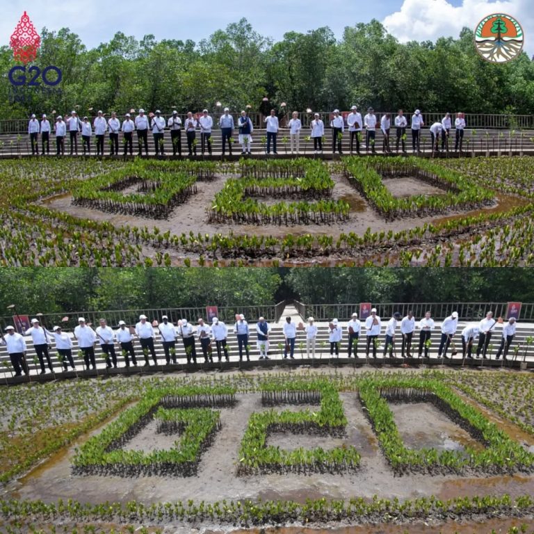 Indonesia untuk Dunia Presiden Jokowi Pimpin Penanaman Mangrove pada KTT G20 Bali