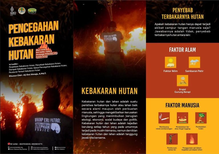 Mengenal Faktor Penyebab Kebakaran Hutan Manusia dan Alam