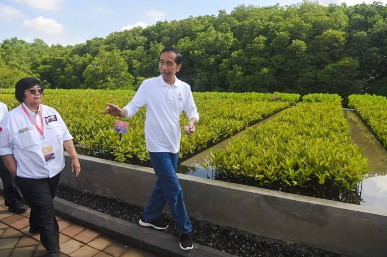 SaveClip.App_315653660_132966992664926_7944994154272085870_n