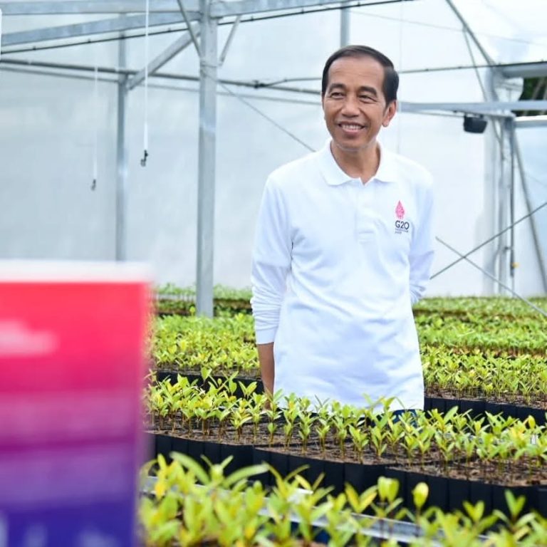 SaveClip.App_315782789_1256456174928927_4756687506488173865_n