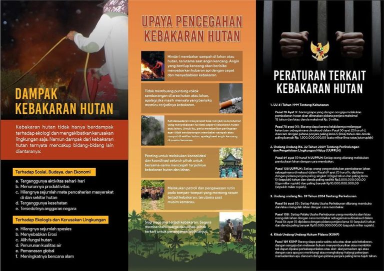 SaveClip.App_316497754_652966769865426_6952783477213844501_n