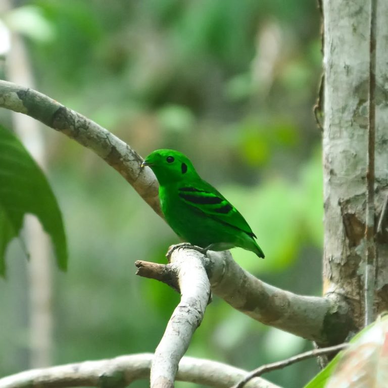 SaveClip.App_329601032_916669516352861_7814956393025094942_n