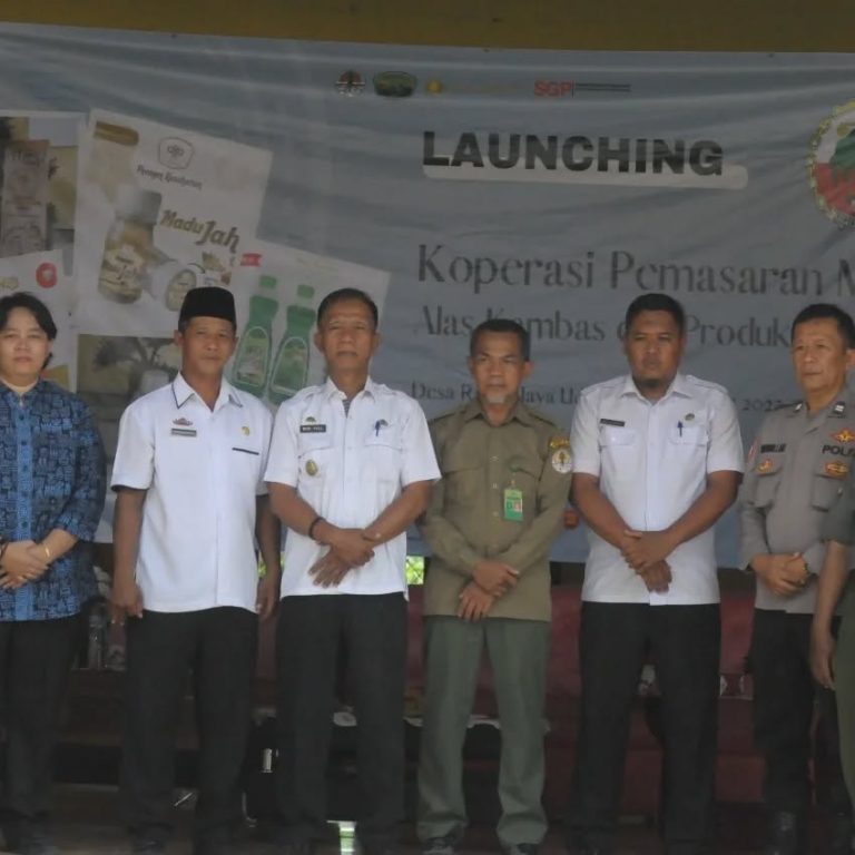 SaveClip.App_329888144_733762428320731_4339157017130368994_n