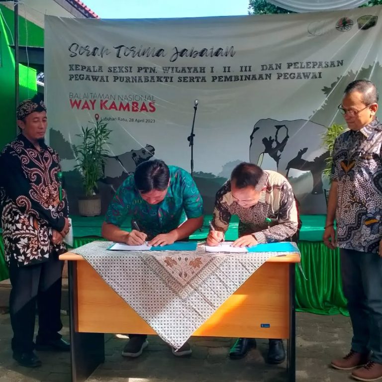 SaveClip.App_343414536_576020277670252_4780625900398365049_n