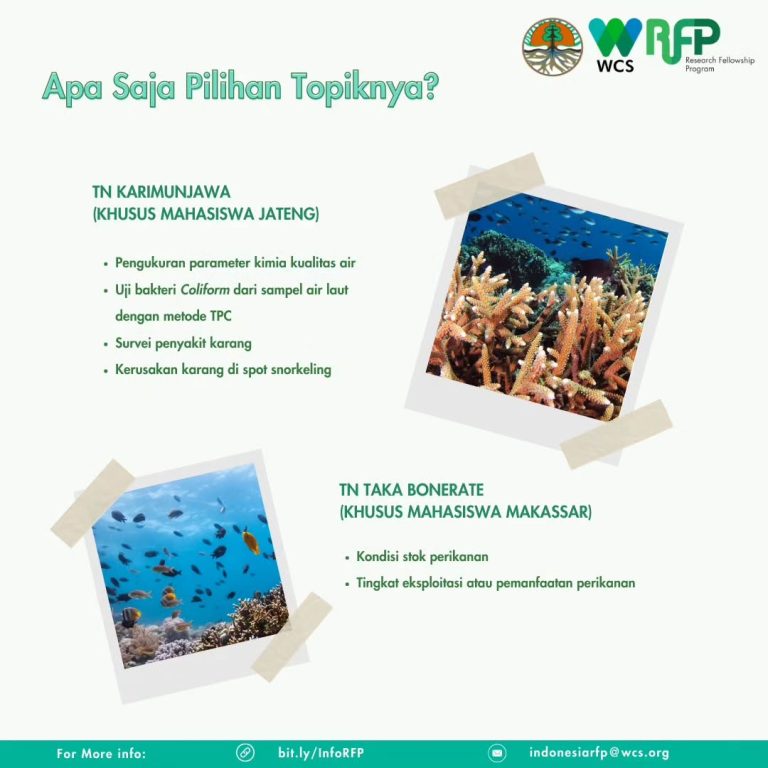 SaveClip.App_350852968_773915174211649_367475932496512000_n