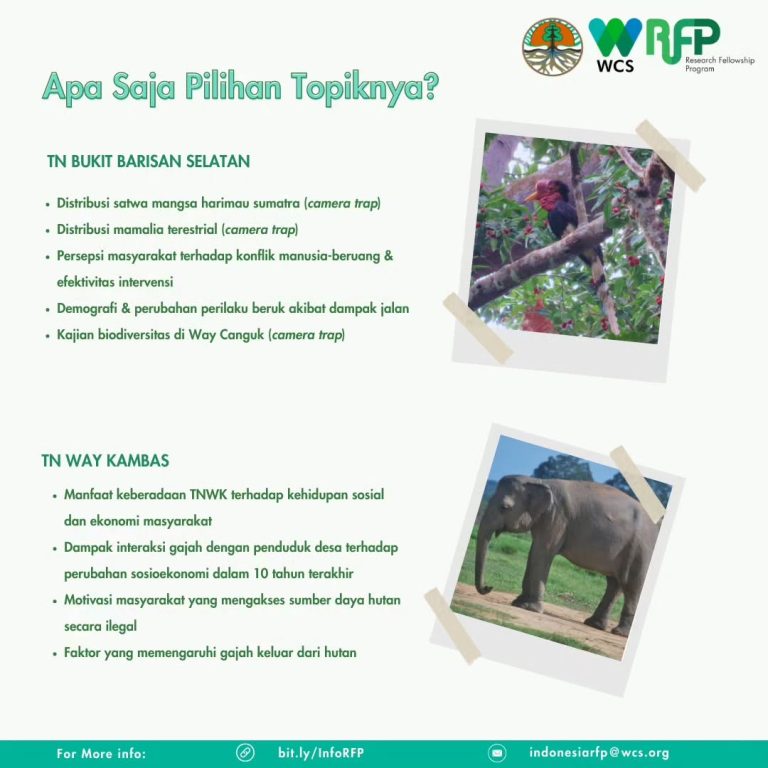 SaveClip.App_352176663_218304940521917_7653170364833239426_n