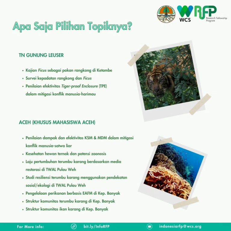 SaveClip.App_352255345_582031037414811_40986242874831671_n