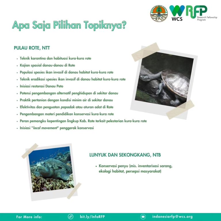 SaveClip.App_352583196_1205069696865909_216230792143831358_n