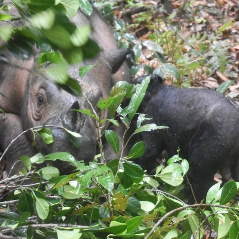 SaveClip.App_404263125_345569871398660_1455033790719986698_n